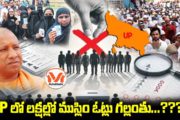 యూపీలో లక్షల్లో ముస్లిం ఓట్లు గల్లంతు...? ఎన్నికల సంఘం సీఈఓ సంచలన ఫాక్ట్ చెక్ బట్టబయలు!